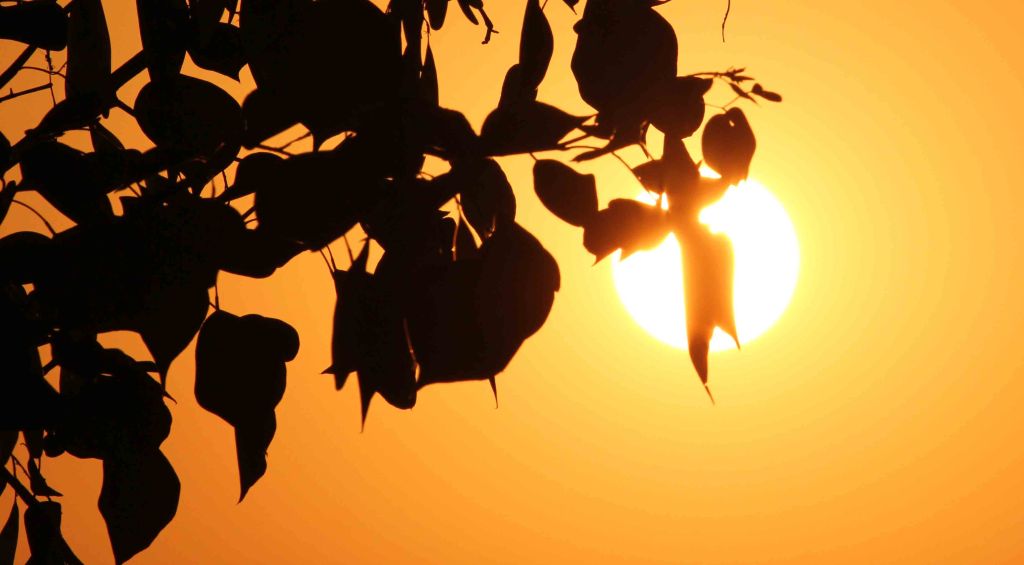 Day-bringers Demystifying