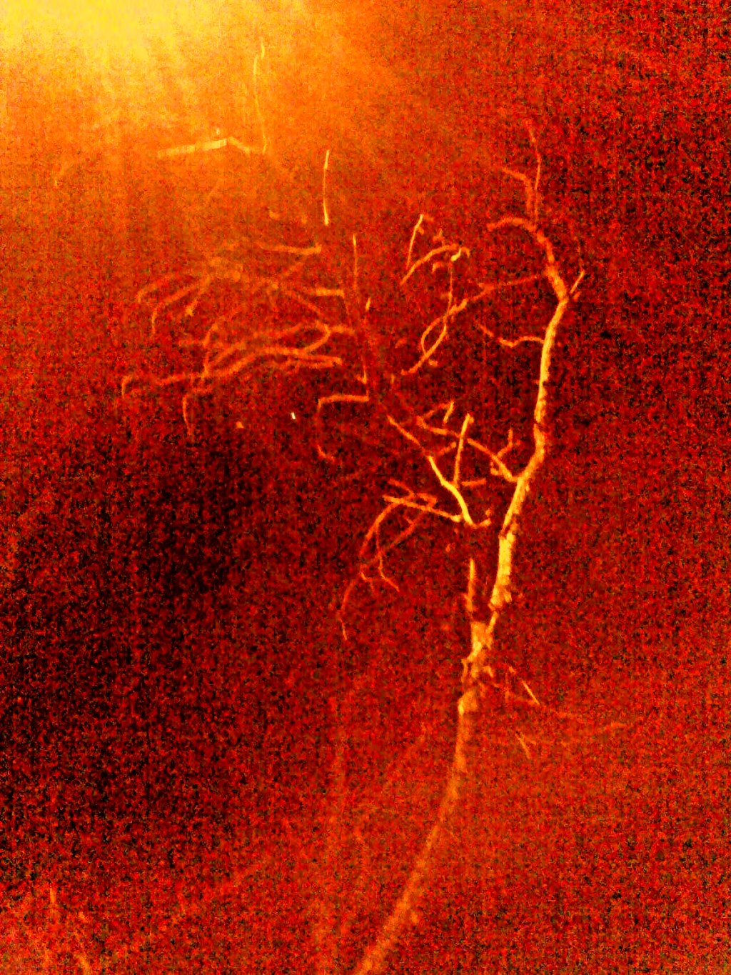 My Old Book of&nbsp;Dreams