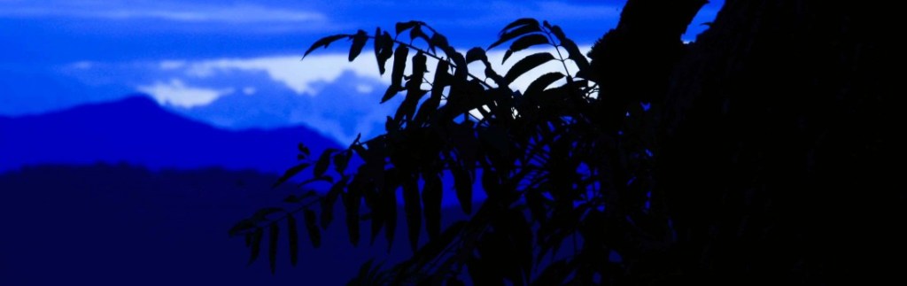 It’s Cold; Song of&nbsp;Desire