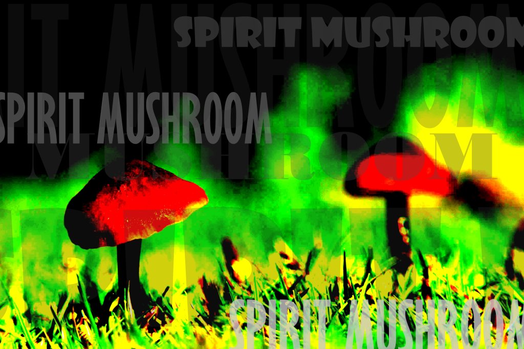 BREATHING MUSHROOMS
