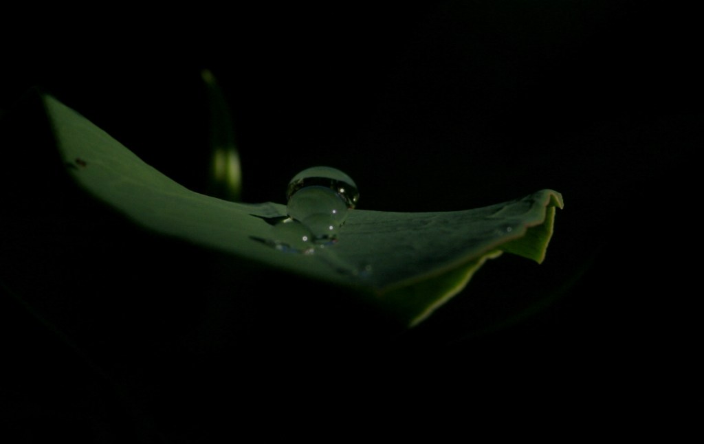 Droplets