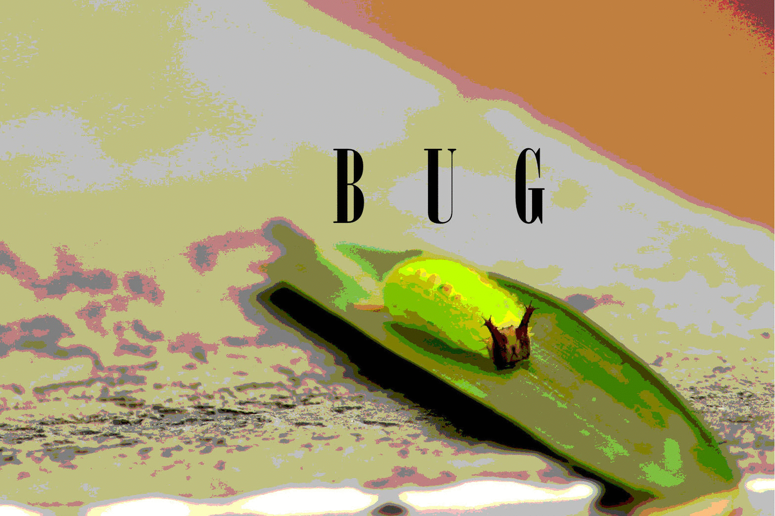 Mister Doug the Bug