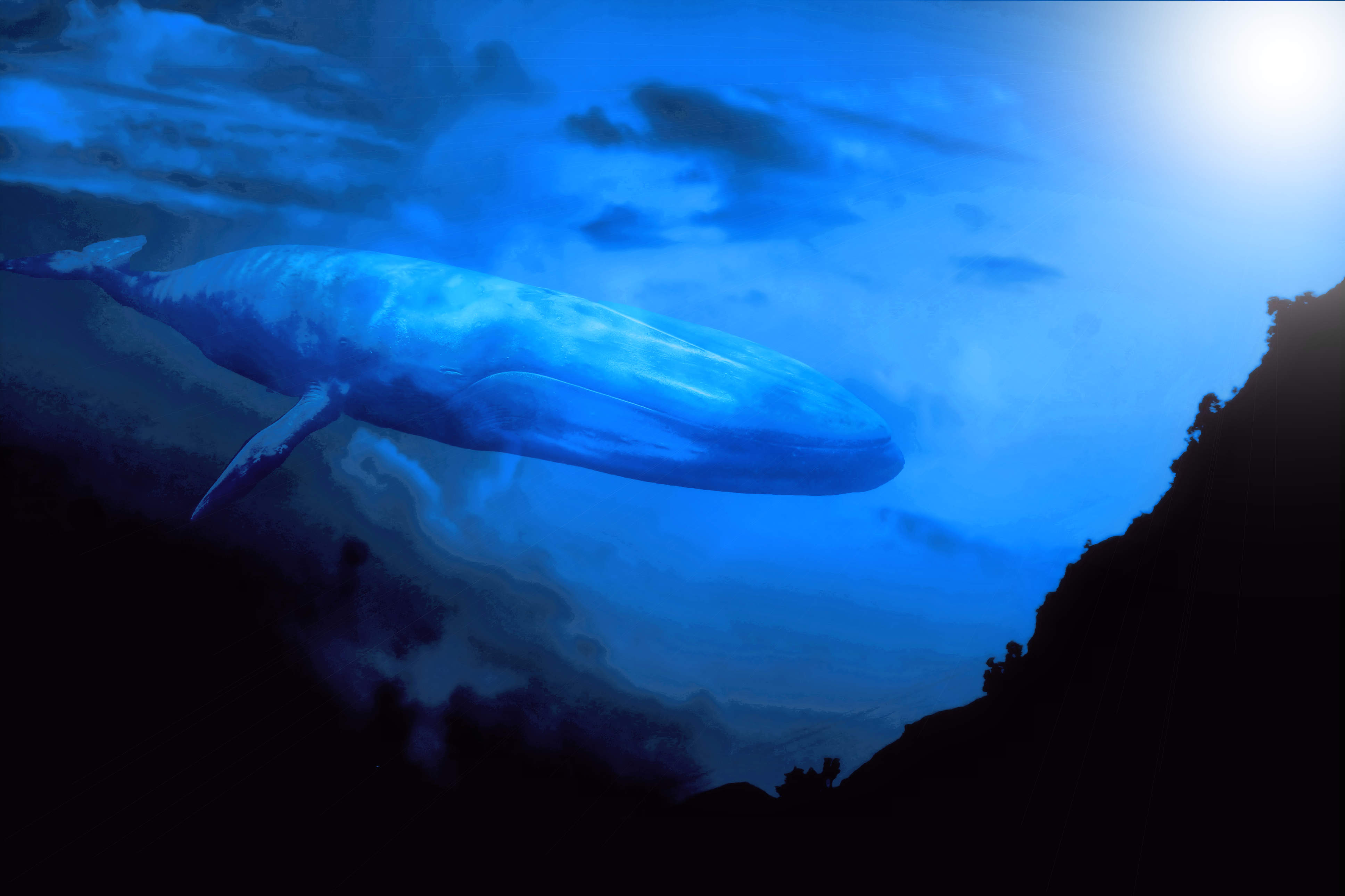 evebluewhale2