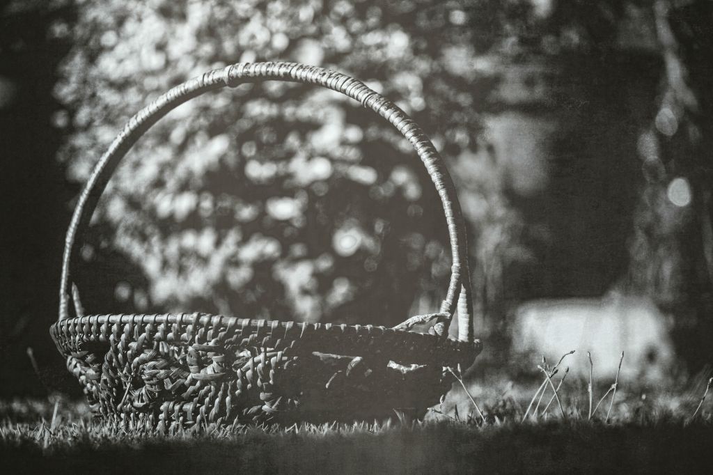Worn out Basket and&nbsp;Beauty