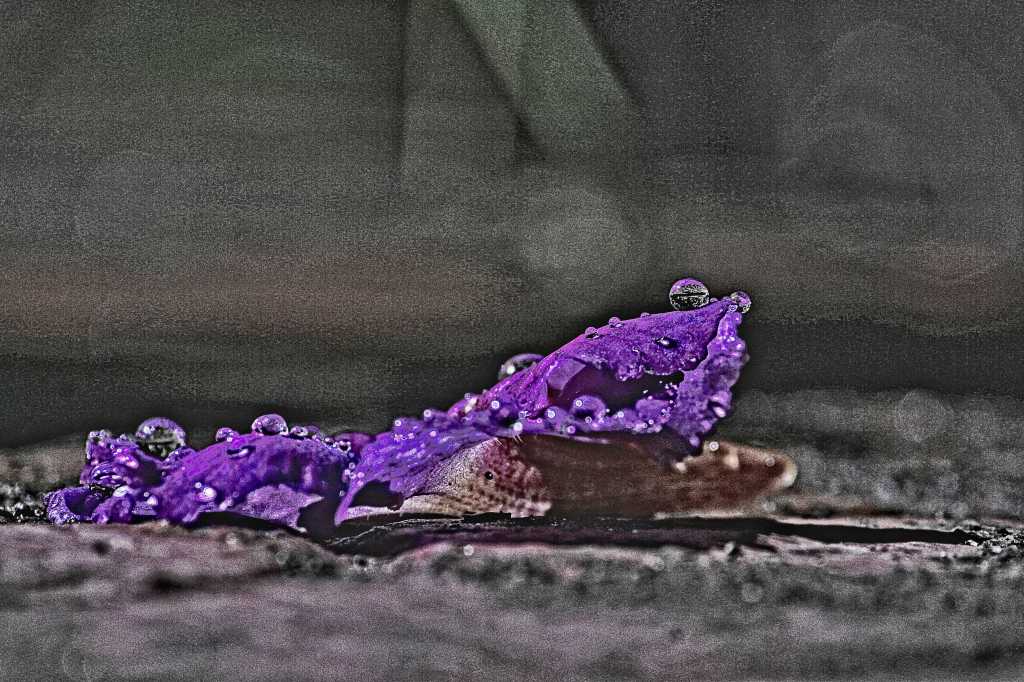 Soul Reflecting Soul