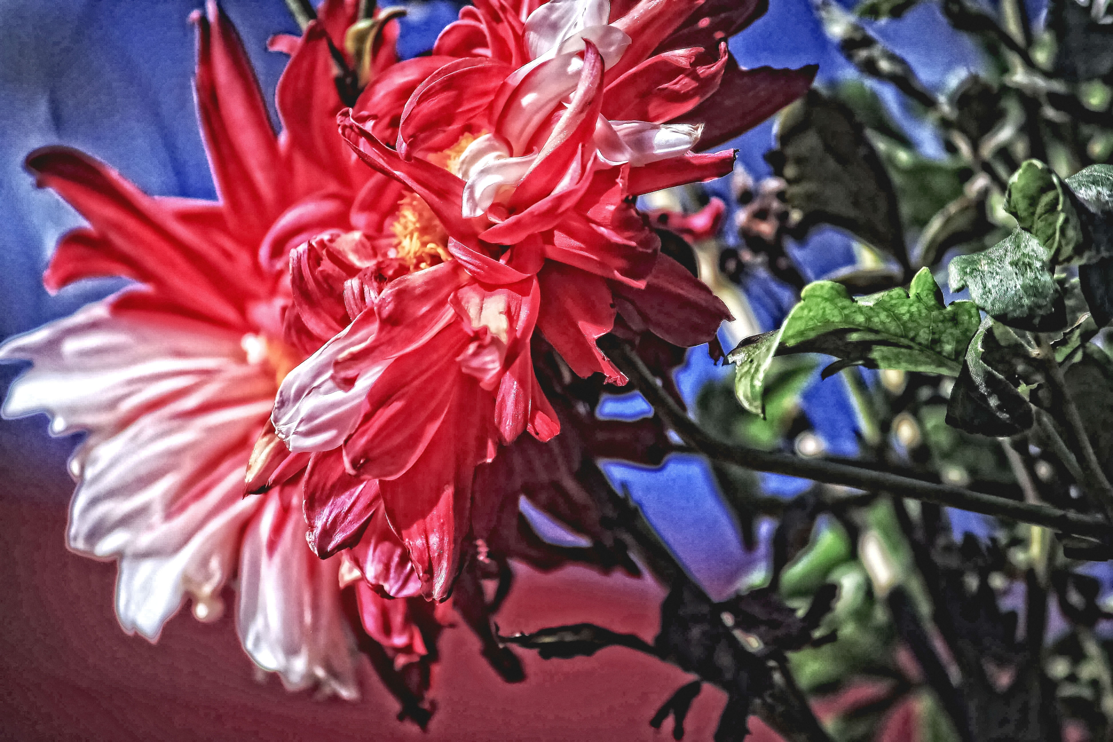 spring, fall, love…