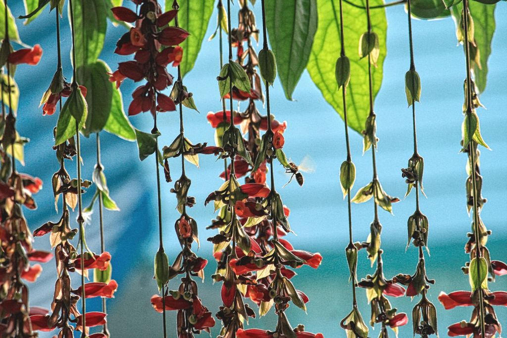 Poetry and Gleaming&nbsp;Swords