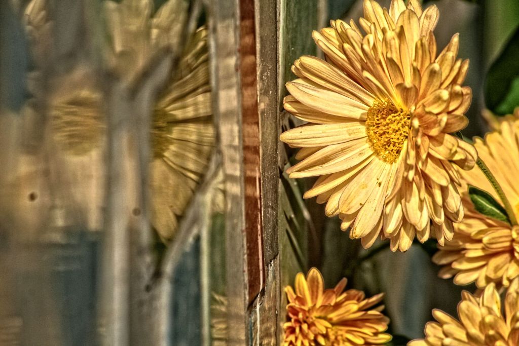 Flowers of Grandma’s&nbsp;Faith