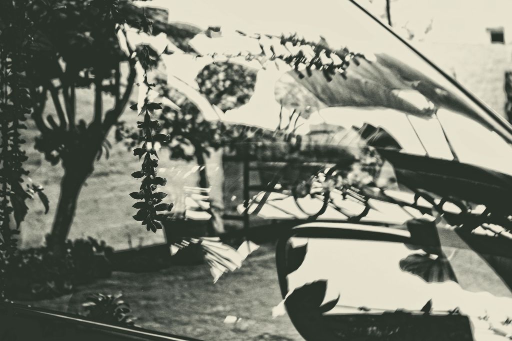 Bruised and Amused by&nbsp;You