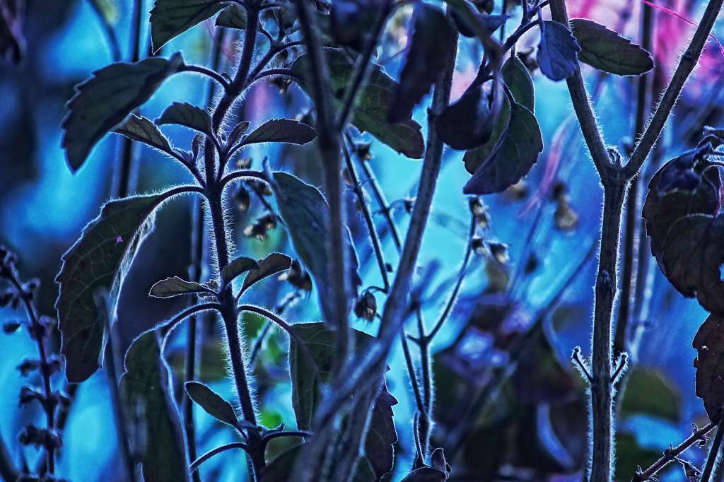 What is this&nbsp;feeling?