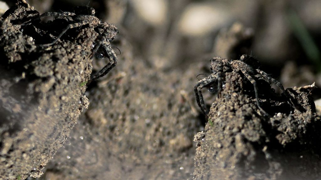 In The Shadow of&nbsp;Knowledge