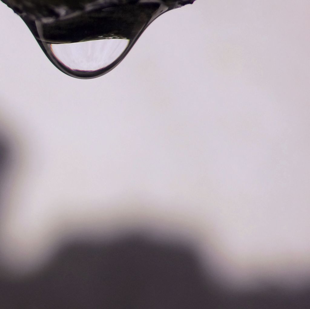 Rain and Reminiscing