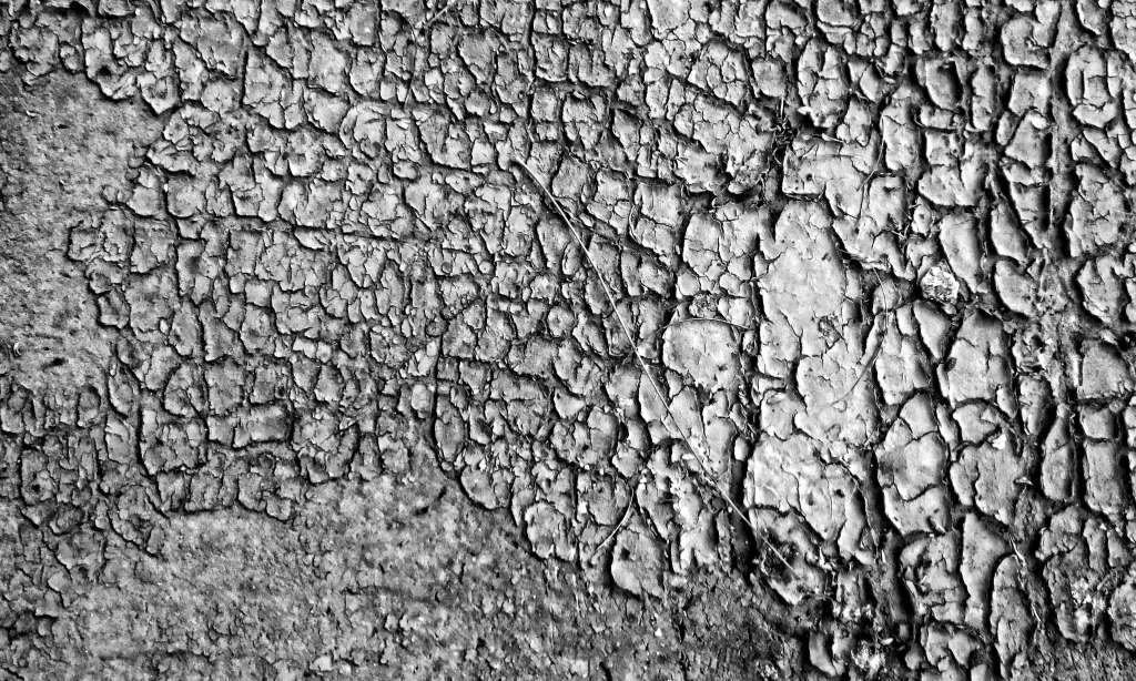 Dynamics of 0 and 1; …101..010…