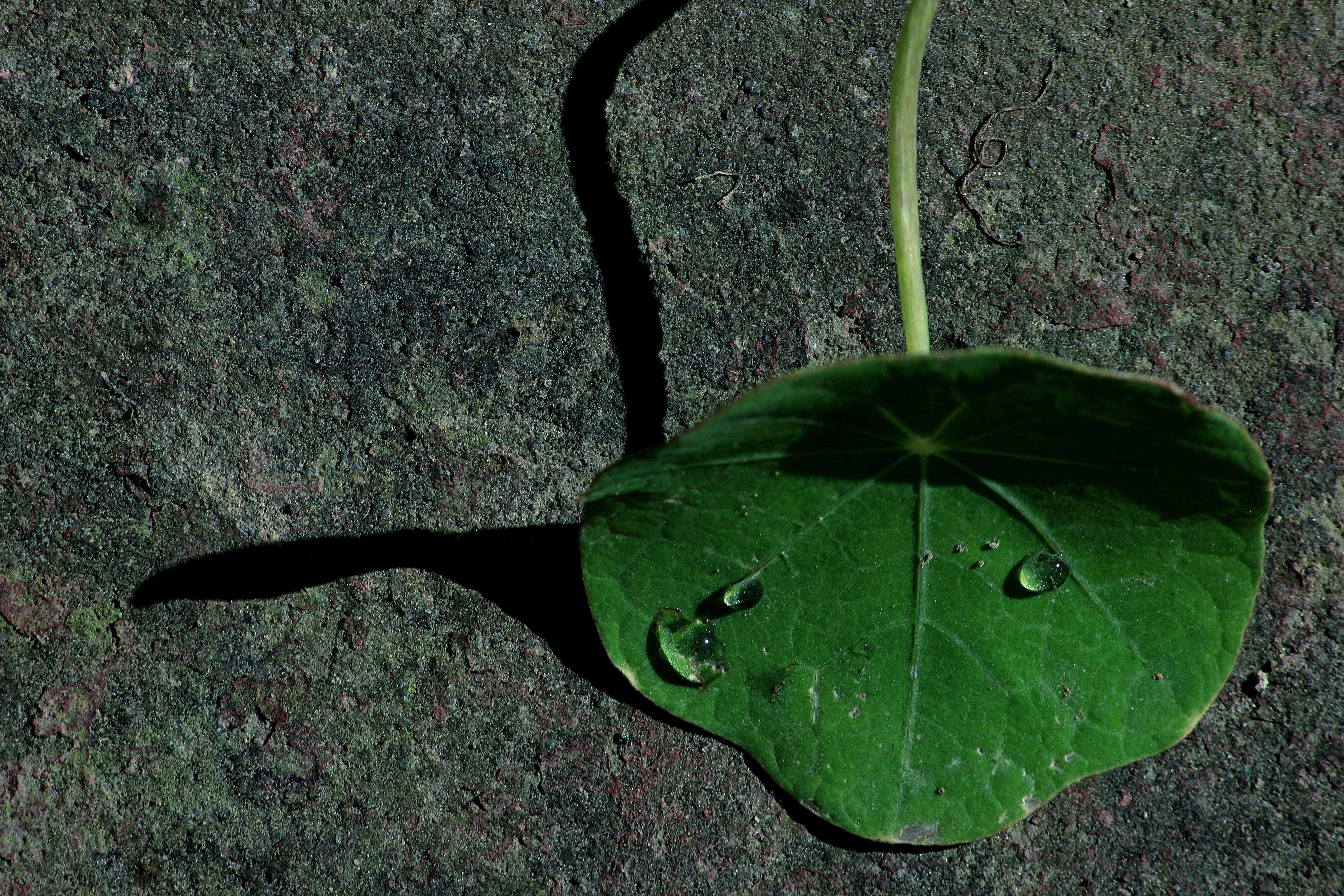 Crumbling