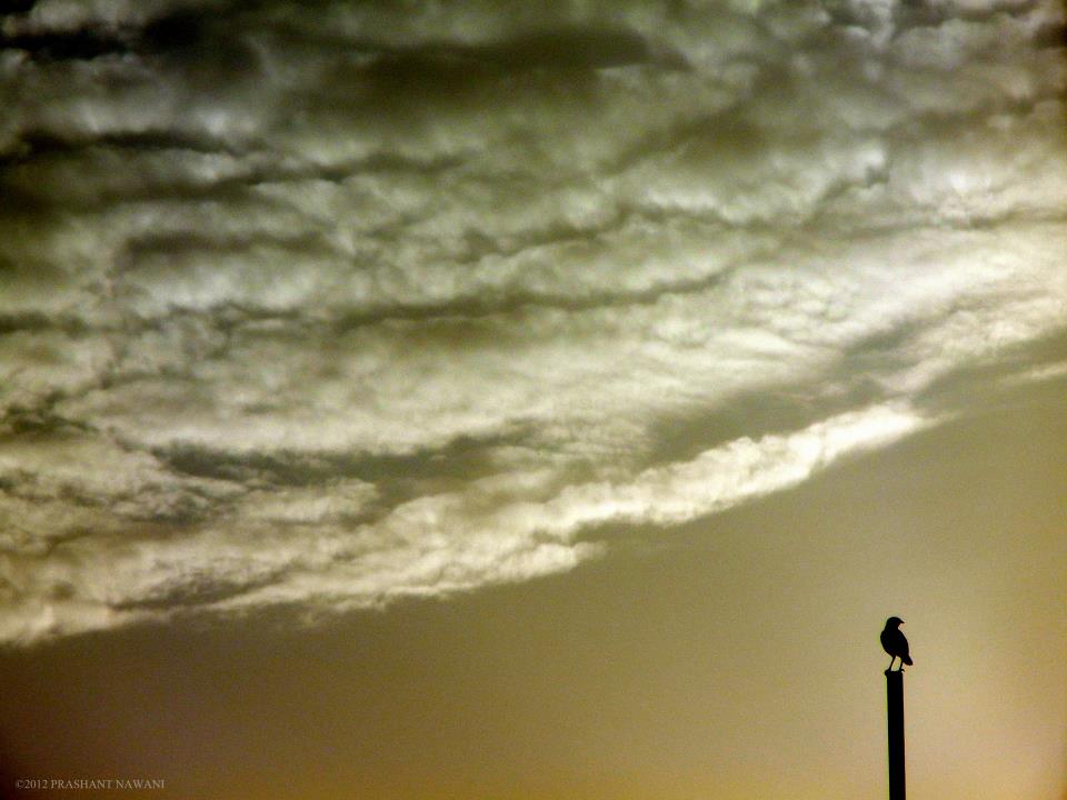 555694_434179069958214_1146815262_n