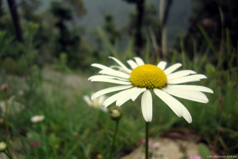 love and freedom: a dancer of silent&nbsp;tunes