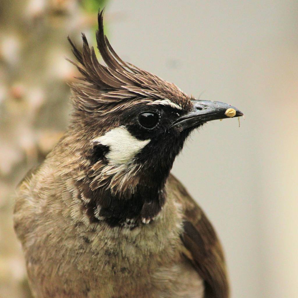 Garden’s Poetry: A Young&nbsp;Couple