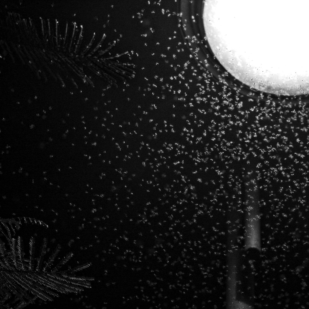 sleep… hear me&nbsp;breathing