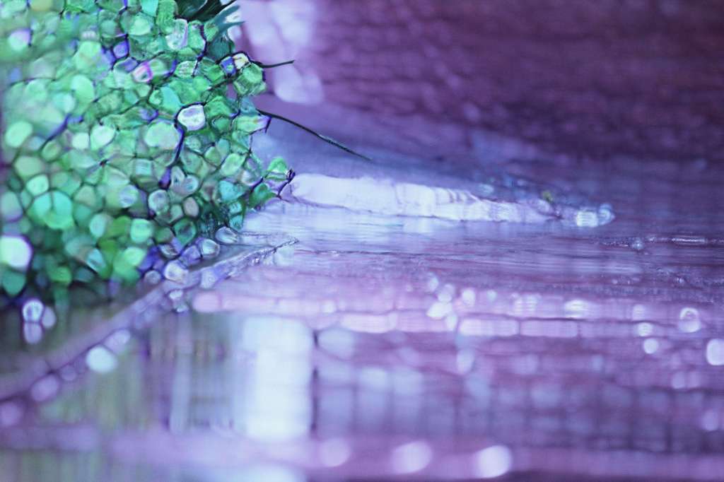 that one time it&nbsp;rained…