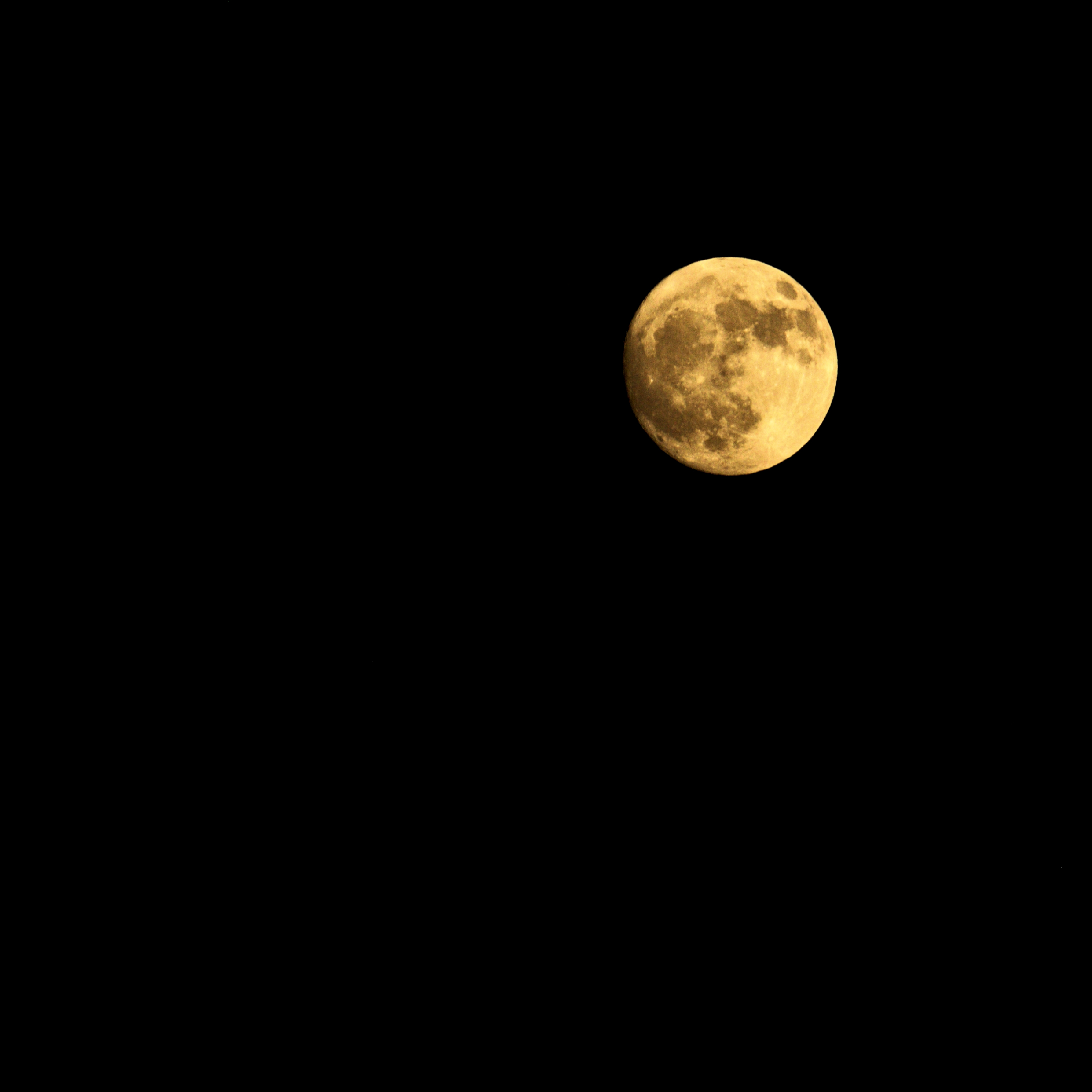 Treasures, Wings and the Moon