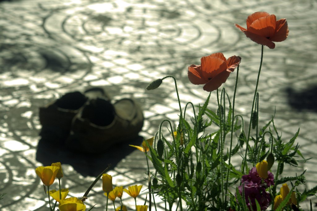 Not all those who&nbsp;wander…